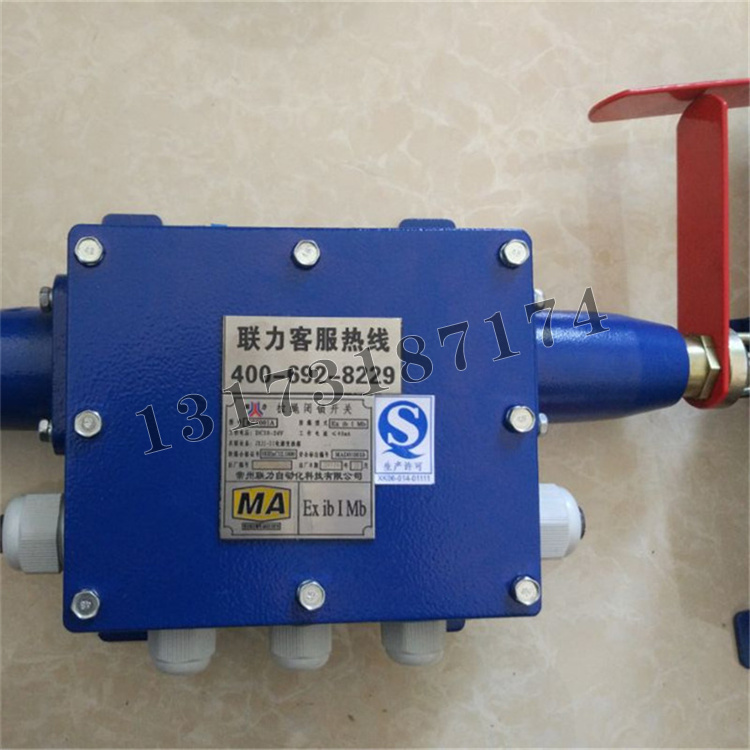 KG9001A-Z拉繩閉鎖開關|常州聯力自動化科技有限公司