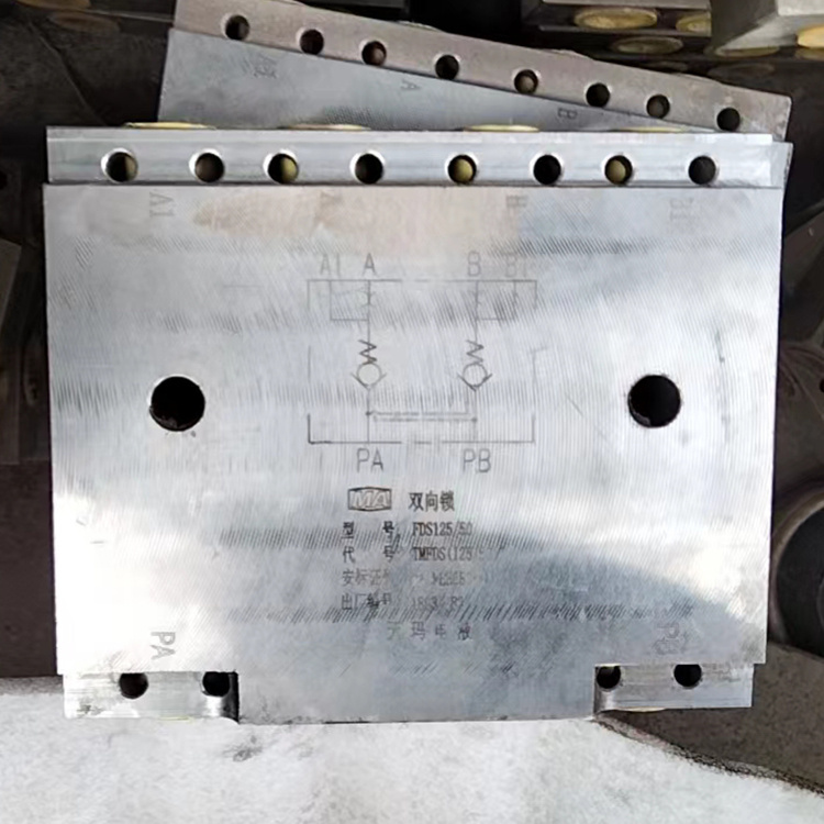 FDS80/50(A)雙向鎖-北京天地瑪珂電液控制系統有限公司