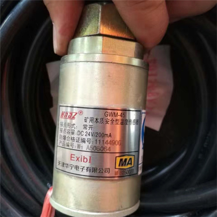天津華寧GWM-45礦用本質**型溫度傳感器-1.jpg