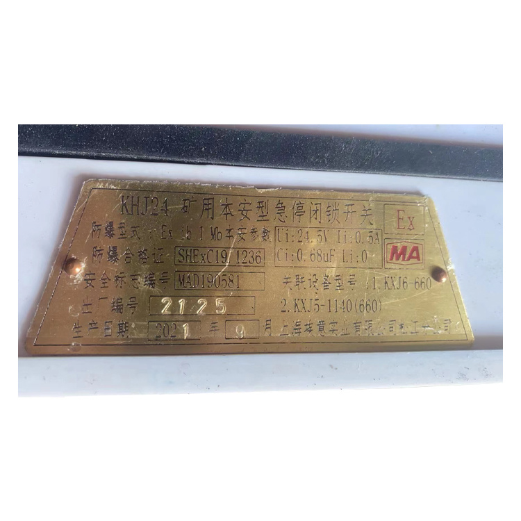 KHJ24礦用本安型急停閉鎖開關-上海埃意自動控制有限公司