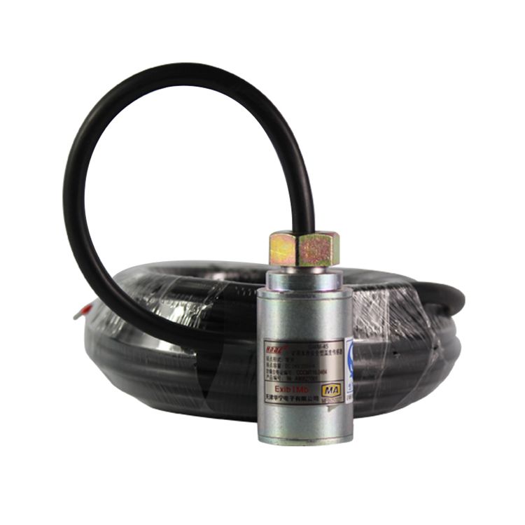 天津華寧電子GWM-45礦用本質安全型溫度傳感器